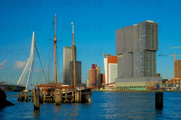 View of Rotterdam skyscrapers skyline and Erasmusbrug bridge view over of Nieuwe Maas river with moored sail ship. Rotterdam