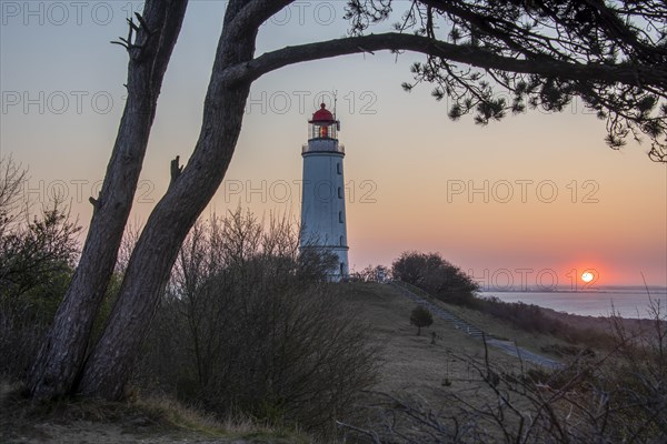 Sonnenaufgang am Leuchtturm Dornbusch auf dem Schluckwieksberg