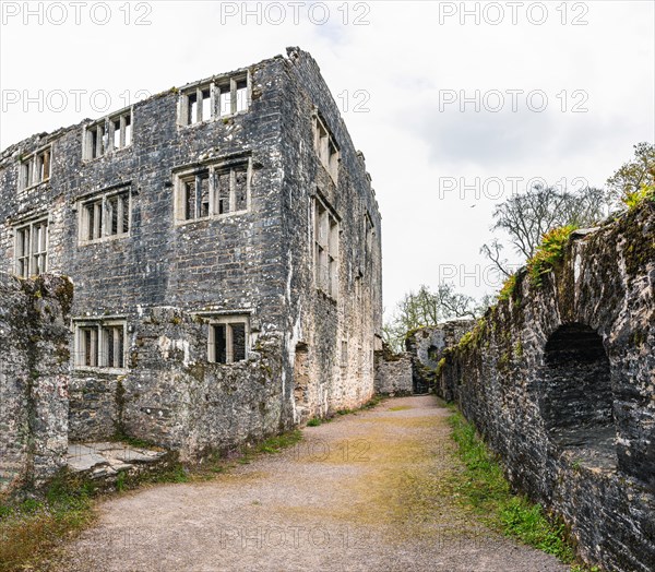 Panorama of Berry Pomeroy Castle