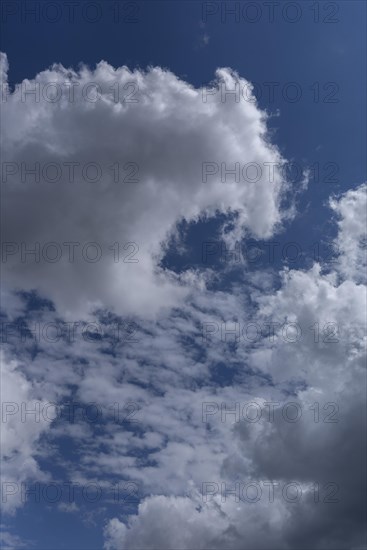 Stratocumulus clouds