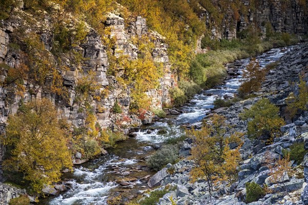 River Store Ula