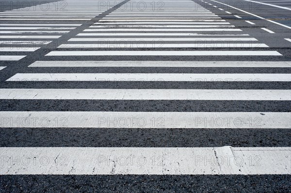 Crosswalk pedestrian crossing on asphalt road in the street