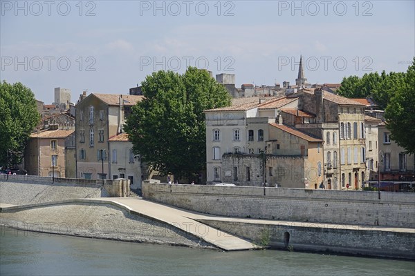 Banks of the Rhone