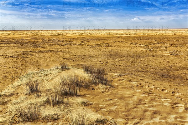 Remote wide sandy beach