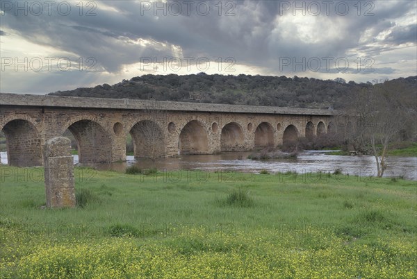 Bruecke am Fluss Almonte Nebenfluss des Tajo-River