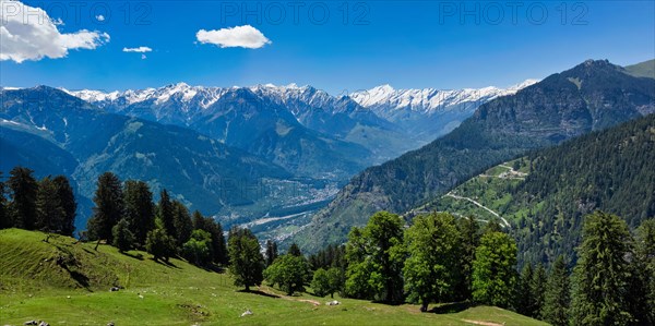Panorama of meadow in Kullu valley in Himalaya mountains in spring