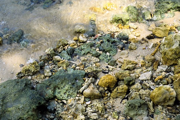 Colourful rocks and stones on the beach in Havelock island