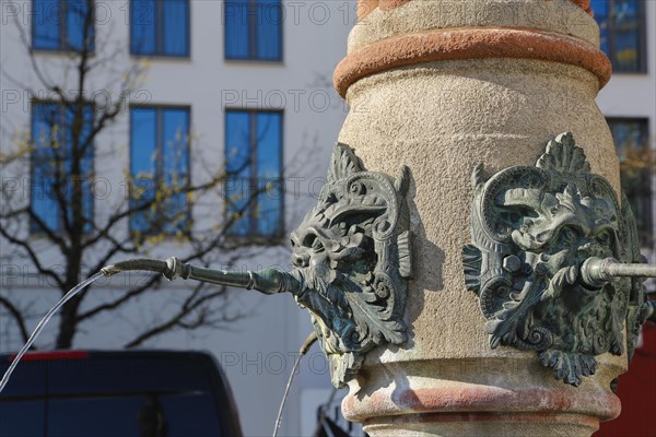 Lion fountain on the Muensterplatz