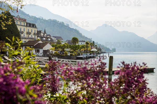 Hotels and houses on the lake