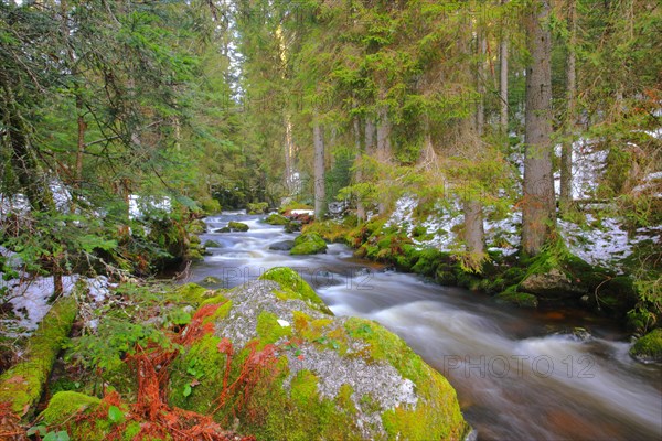 Stream in winter