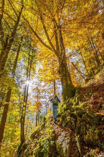 Woman on hiking trail