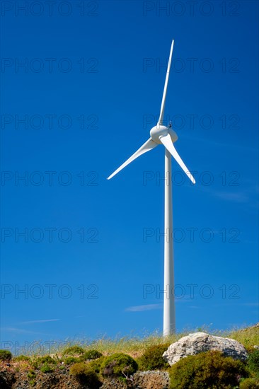 Green concept for renewable alternative energy