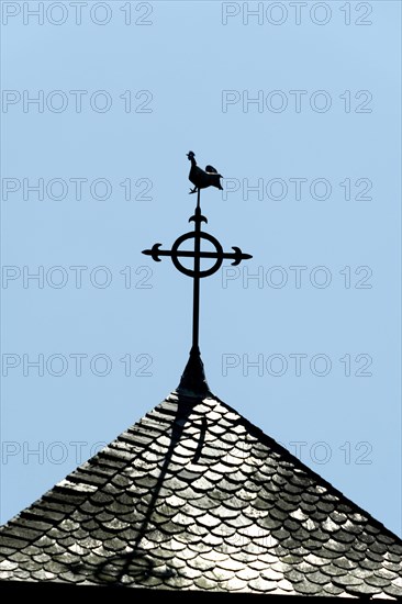 Weathercock on a bell tower