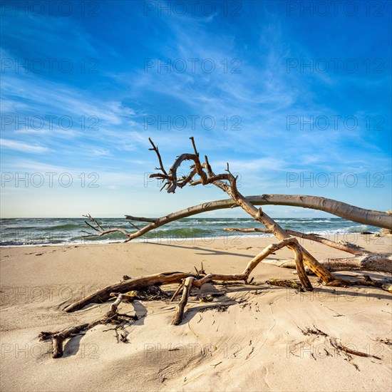 Stuermische Ostsee im Winter