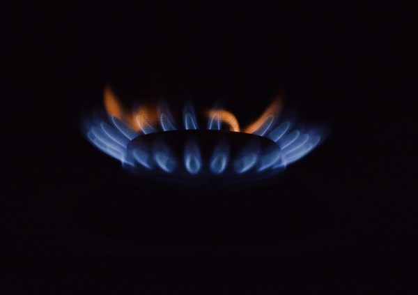 Blue gas flame on a gas stove