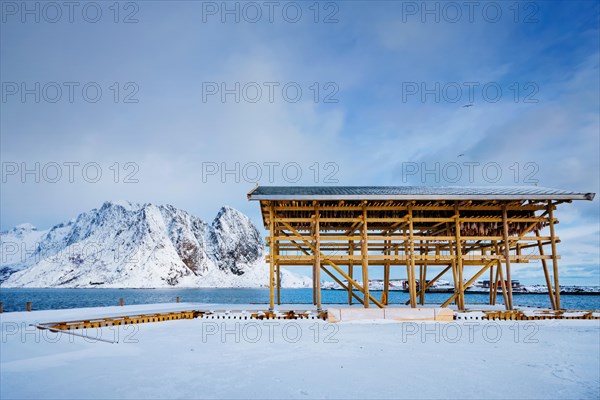 Drying flakes for stockfish cod fish in fjord in winter with snow