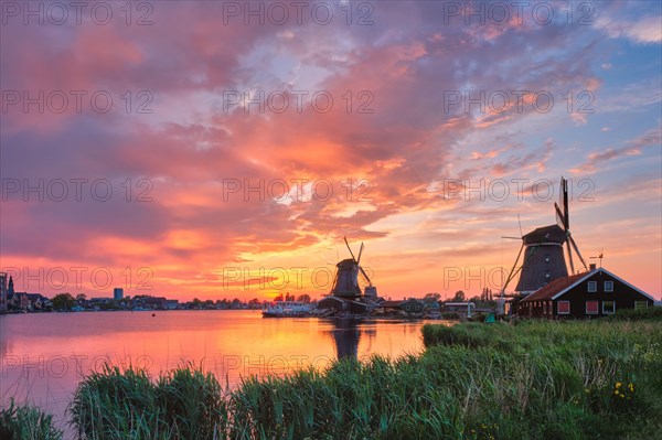 Netherlands rural scene