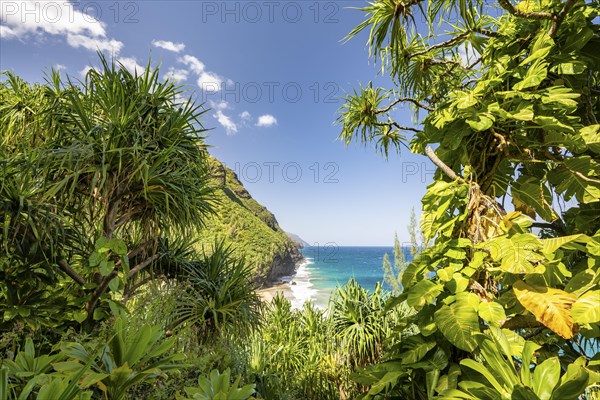 Blick vom Kalalau Trail auf die Na Pali Coast