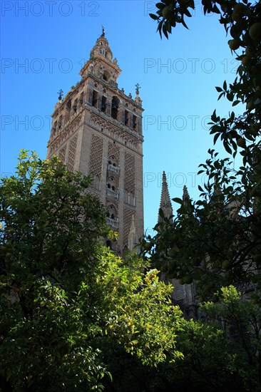 In the old town of Seville