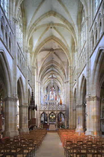 Gothic Basilica of Notre Dame