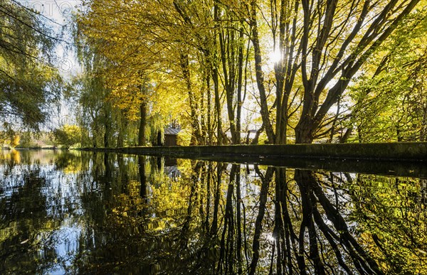 Reflection of trees in the water