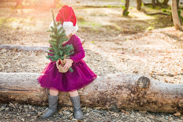 Cute mixed-race young baby girl having fun with santa hat and christmas tree outdoors on log