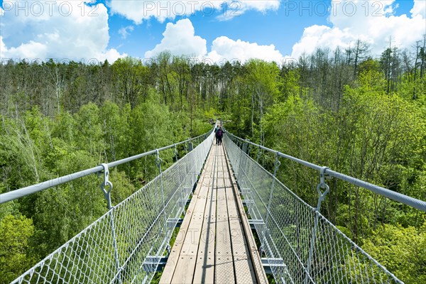 Haengeseilbruecke ueber das Baerental