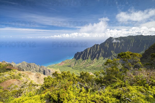 Blick vom Kalalau Lookout ins Kalalau Valley