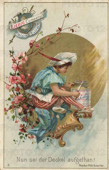 Picture series the cook