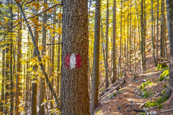 Hiking marker