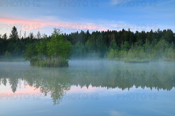 Moorland lake at dawn