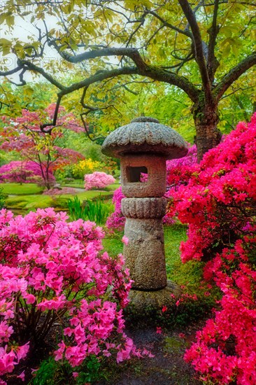 Stone lantern in Japanese garden with blooming flowers