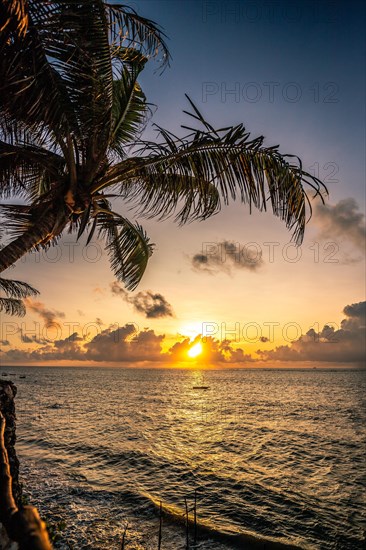 A view of the sea with palm trees. Sunset on the Indian Ocean