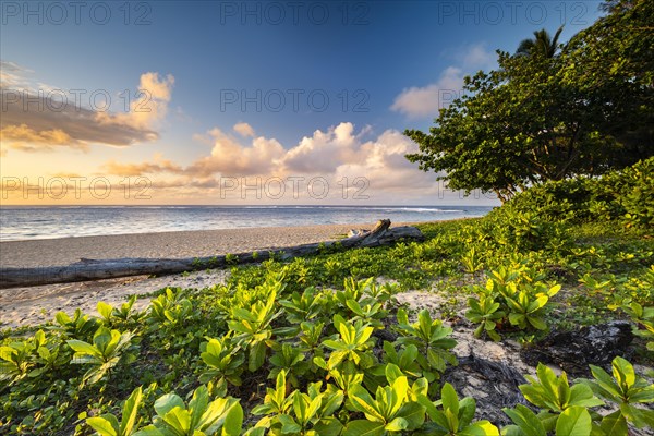 Tunnels Beach