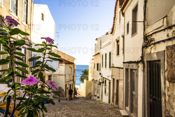 Charming street of Sesimbra with flowers in the foreground