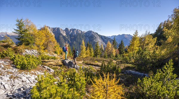 Two hikers in the landscape
