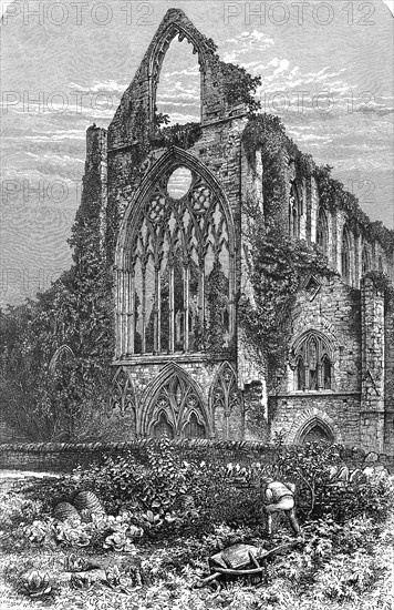 Tintern Abbey