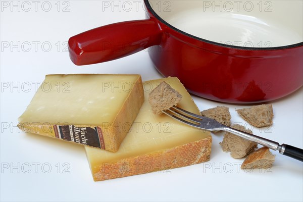 Ingredients for cheese fondue