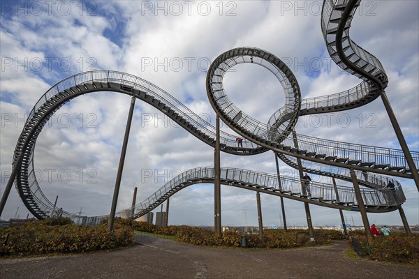 Tiger and Turtle