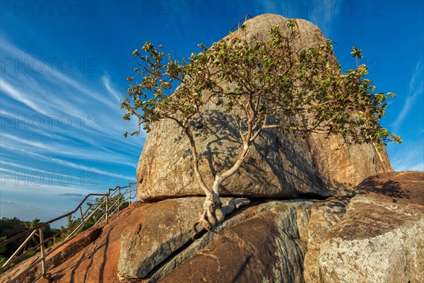 Meditation rock in Mihintale