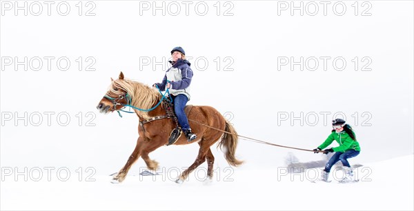 Skikjoering mit Haflinger am Peissenberg