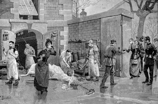 People drinking blood in a slaughterhouse in Paris in 1880
