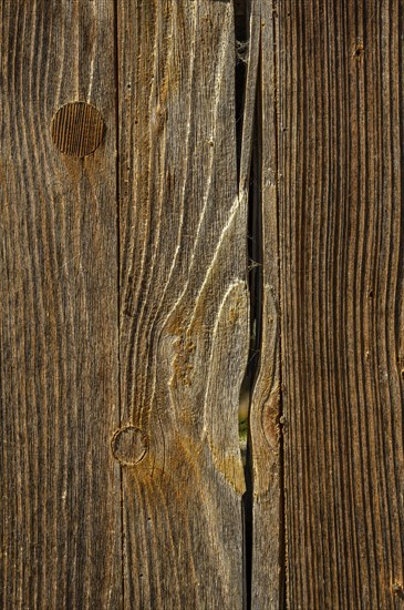 Weathered wooden board