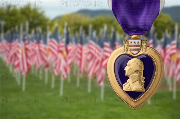 Purple heart miltary merit medal against memorial field of american flags