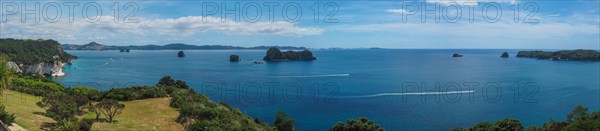 Coast at Cathedral Cove Walk