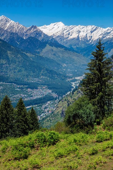 Spring meadow in Kullu valley in Himalaya mountains. Himachal Pradesh