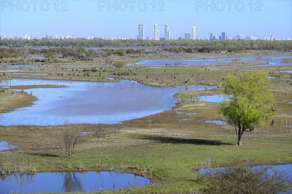 Landscape on the Rio Parana with silhouette of the city of Rosario