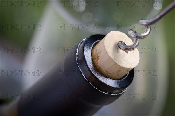 Close-up of corkscrew twisted into cork of wine bottle