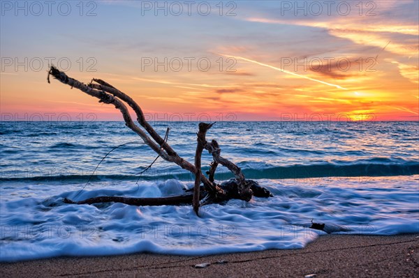 Ld wood trunk snag in water at tropical beach on beautiful sunset