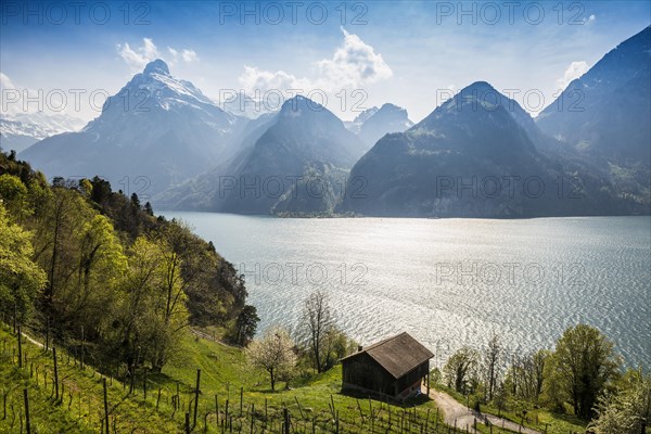 Panorama with lake and mountains